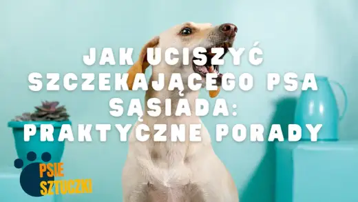Szczekający pies sąsiada? Jak odzyskać spokój w bloku!